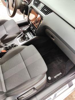 Ковры Skoda Octavia A7 (A8)
